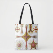 Wild Chamomile door Ernst Haeckel,  Natuur Tote Bag (Voorkant)
