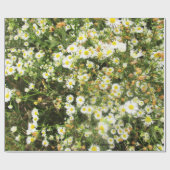 Wild Chamomile - Prairie Mile - giftwrap Cadeaupapier (Vlak)