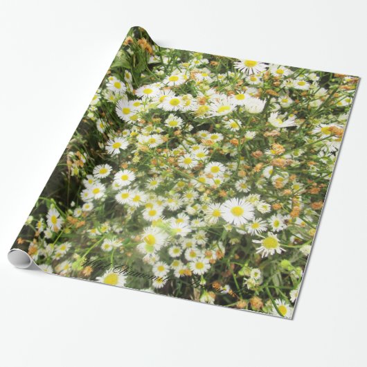Wild Chamomile - Prairie Mile - giftwrap Cadeaupapier (Uitgerold)