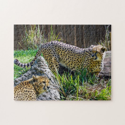 Wild Cheetah Speelgoed Jigzaag Puzzle Legpuzzel (Horizontaal)