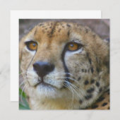 Wild Cheetah-uitnodigingen Kaart (Voorkant / Achterkant)