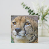 Wild Cheetah-uitnodigingen Kaart (Staand voorkant)