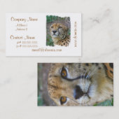 Wild Cheetah Visitekaartjes (Voorkant / Achterkant)