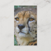 Wild Cheetah Visitekaartjes (Achterkant)