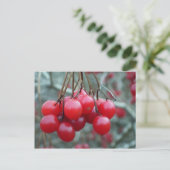 Wild Cherry Briefkaart (Staand voorkant)