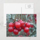 Wild Cherry Briefkaart (Voorkant / Achterkant)