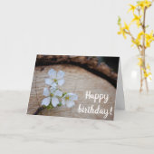 Wild Cherry Flowers Birthday Card Kaart (Gele Bloem)