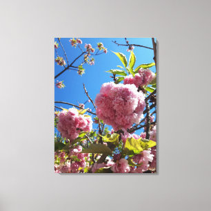 Wild Cherry roze Blossom Tree Canvas Afdruk
