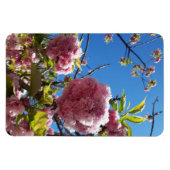 Wild Cherry roze Blossom Tree Magneet (Horizontaal)
