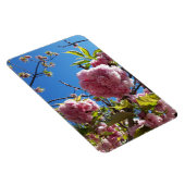 Wild Cherry roze Blossom Tree Magneet (Rechterzijde)