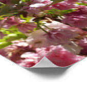 Wild Cherry roze Blossom Tree Poster (Hoek)