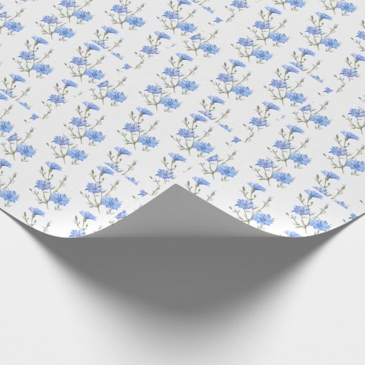 Wild Chicory Flower Botanical Waterverf Art Cadeaupapier (Hoek)