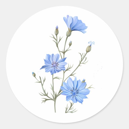 Wild Chicory Flower Botanical Waterverf Art Ronde Sticker (Voorkant)