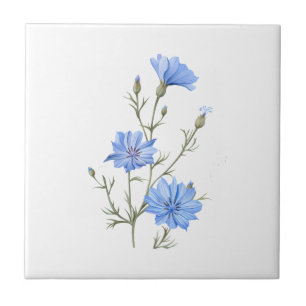 Wild Chicory Flower Botanical Waterverf Art Tegeltje