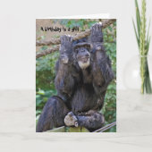 Wild Chimp Humor Kaart (Voorkant)