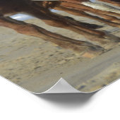 Wild Chincoteague Ponies, Assateague Island Beach Poster (Hoek)