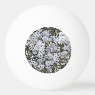 WILD CLEMATIS PINGPONGBAL