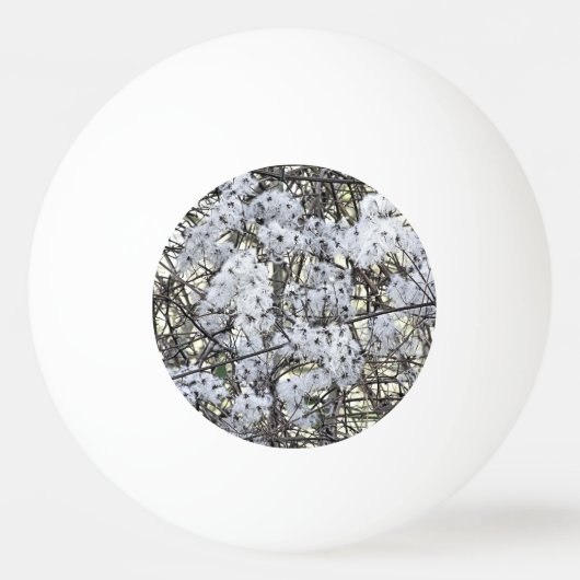 WILD CLEMATIS PINGPONGBAL (Voorkant)