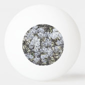 WILD CLEMATIS PINGPONGBAL (Achterkant)