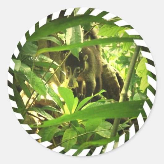Wild Coati Stickers (Voorkant)