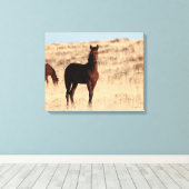 Wild Colt Canvas (Insitu (Houten vloer))