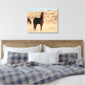 Wild Colt Canvas Afdruk (Insitu (Slaapkamer))