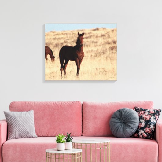 Wild Colt Canvas Afdruk (Insitu (Woonkamer))