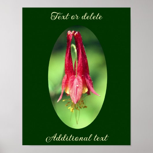 Wild Columbine Flower Voeg Jouw tekst toe Poster (Voorkant)