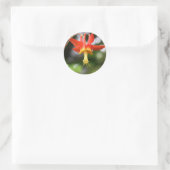 Wild Columbine Ronde Sticker (Tas)