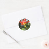 Wild Columbine Ronde Sticker (Envelop)