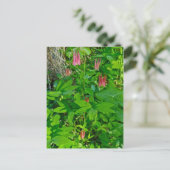 Wild Columbine & Solomon's Seal Briefkaart (Staand voorkant)