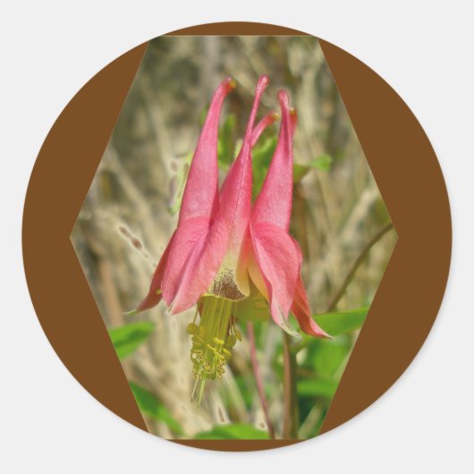 Wild Columbine Sticker (Voorkant)