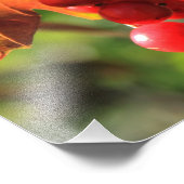 Wild Cranberries Foto Afdruk (Hoek)