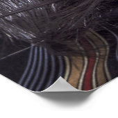 Wild Crazy Man Musician Wild Hair Poster (Hoek)