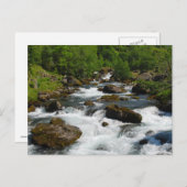 Wild Creek Briefkaart (Voorkant / Achterkant)