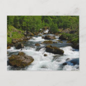 Wild Creek Briefkaart (Voorkant)