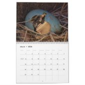 Wild Curiografie Dog Agenda Kalender (Mar 2026)