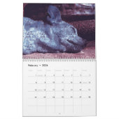Wild Curiografie Dog Agenda Kalender (Feb 2026)