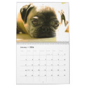 Wild Curiografie Dog Agenda Kalender (Jan 2026)