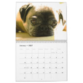 Wild Curiografie Dog Agenda Kalender (Jan 2027)