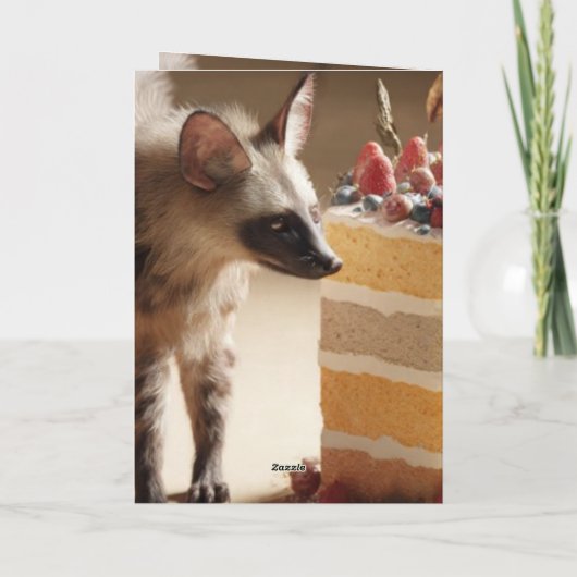 Wild Curiosity & Layered Cake Kaart (Achterkant)