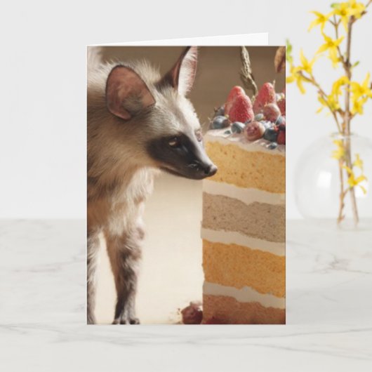 Wild Curiosity & Layered Cake Kaart (Gele Bloem)