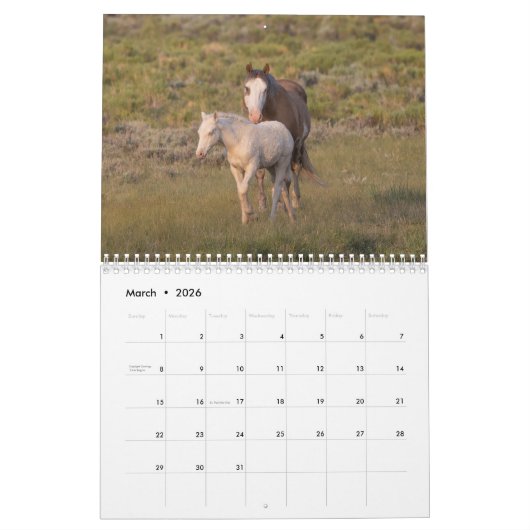 Wild Curly Horses of Salt Wells Creek Kalender