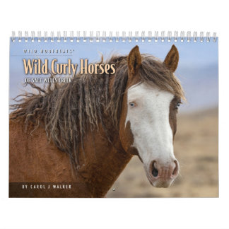 Wild Curly Horses of Salt Wells Creek Kalender