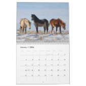 Wild Curly Horses of Salt Wells Creek Kalender (Jan 2026)