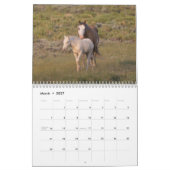Wild Curly Horses of Salt Wells Creek Kalender (Mar 2027)