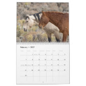 Wild Curly Horses of Salt Wells Creek Kalender (Feb 2027)
