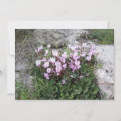 Wild Cyclamen Feestdagenkaart (Voorkant)