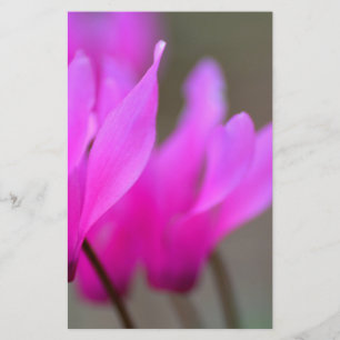 Wild Cyclamen Macro Briefpapier