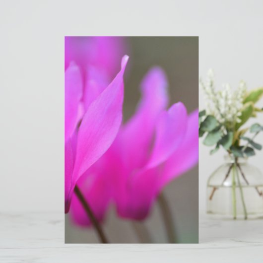 Wild Cyclamen Macro Briefpapier (Staand voorkant)